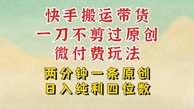 快手黑科技搬运带货，一刀不剪过原创，微付费投流玩法，轻松日入四位数…-皮皮网创