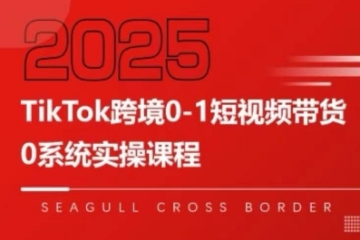 TikTok跨境0-1短视频带货，系统拆解TikTok跨境带货全链路，实现跨境可持续盈利-皮皮网创
