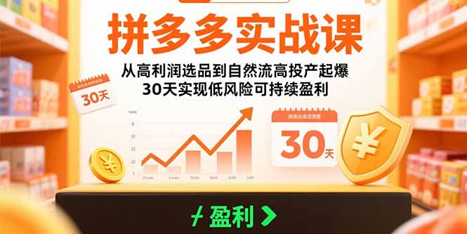 拼多多实战课：从高利润选品到自然流高投产起爆 30天实现低风险可持续盈利-皮皮网创