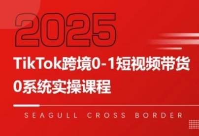 大亿老师·TikTok跨境0-1短视频带货-皮皮网创
