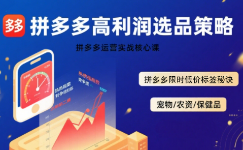 久号老师·拼多多选品暴利技术实战课-皮皮网创