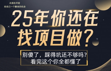 25年，你还在疯狂的找项目吗？别傻了，看完这个你都懂了【揭秘】-皮皮网创