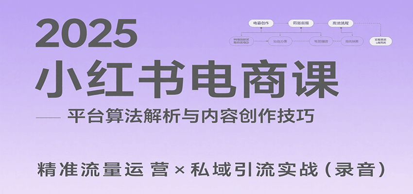 2025小红书电商课：解析算法，创作高转化内容，助力卖家获取流量实现变现(录音)-皮皮网创
