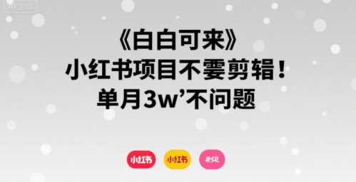 小白可来 小红书项目不需要剪辑 单月3w不是问题-皮皮网创