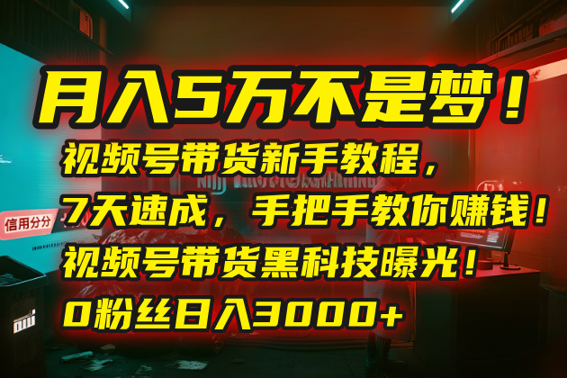 月入5万不是梦！视频号带货新手教程，7天速成，手把手教你赚钱！视频号…-皮皮网创