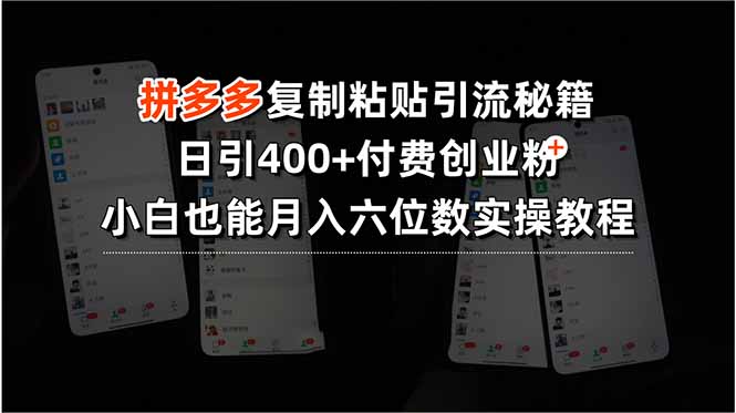 拼多多复制粘贴引流秘籍，日引400+付费创业粉，小白也能月入六位数实操…-皮皮网创