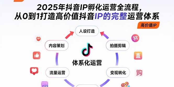 2025年抖音IP孵化运营全流程，从0到1打造高价值抖音IP的完整运营体系-皮皮网创