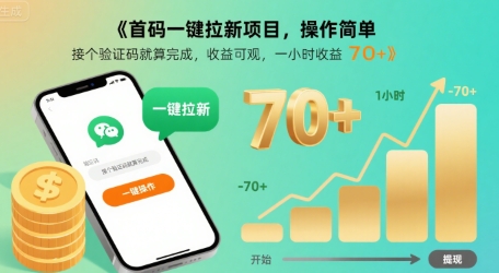 首码一键拉新项目，操作简单，接个验证码就算完成，收益可观， 一小时收益70+【揭秘】-皮皮网创