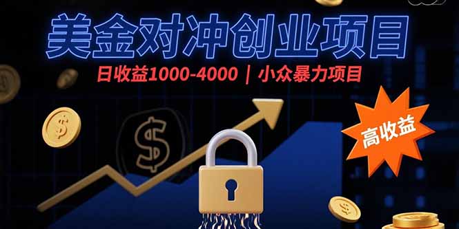 美金对冲创业项目，日收益1000-4000，小众暴力项目-皮皮网创