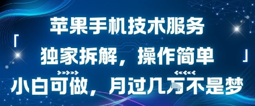 苹果手机技术服务，独家拆解，操作简单，小白可做，月过1W不是梦-皮皮网创