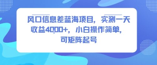 风口信息差蓝海项目，实测一天收益4k+，小白操作简单，可矩阵起号-皮皮网创