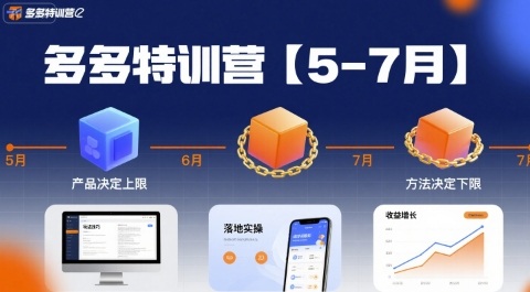 多多特训营【5-7月】产品决定上限，方法决定下限，各种玩法技巧落地实操-皮皮网创