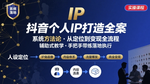 抖音个人IP系统落地实操大课，实操课程，辅助落地-皮皮网创