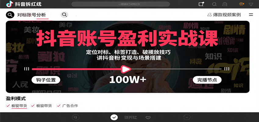 抖音账号盈利实战课，定位对标、标签打造、破播放技巧，讲涨粉变现与场景搭建-皮皮网创