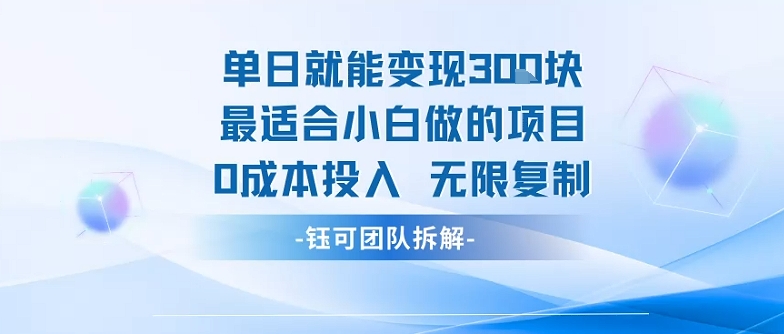 单日就能变现3张最适合小白做的项目0成本投入 无限复制-皮皮网创