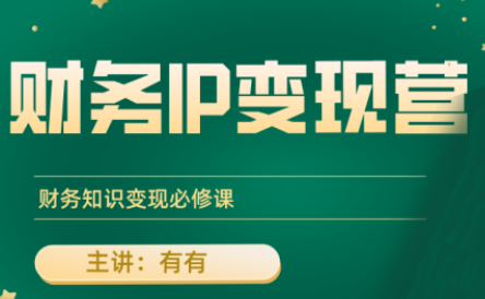有有老师·财务IP变现营，财务知识变现必修课-皮皮网创