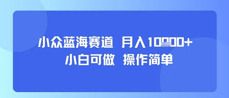 小众蓝海赛道，小白可做，操作简单，每天30分钟，月入1W+-皮皮网创
