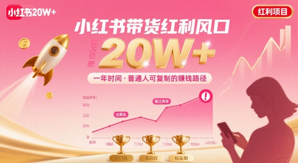 一年时间靠小红书带货项目年入20w+，最不能错的大红利项目-皮皮网创