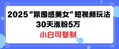 不露脸也能火！2025“氛围感美女”短视频玩法，30天涨粉5W小白可复制-皮皮网创