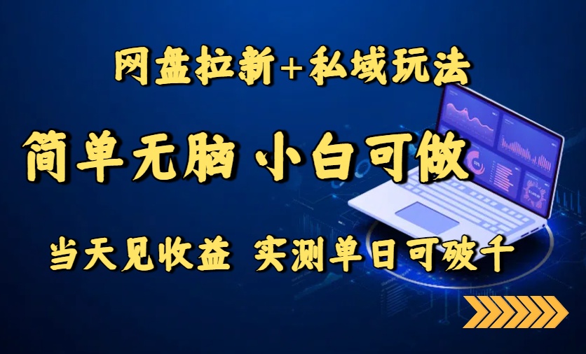 网盘拉新+私域玩法，简单无脑，小白可做，当天见收益，实测单日可破千-皮皮网创