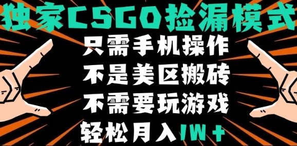 CSGO自动捡漏项目，最新独家玩法，不是美区搬砖，不需要了解和玩游戏，新手小白轻松月入1W+【揭秘】-皮皮网创
