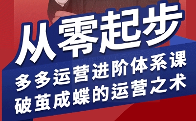 拼多多运营进阶系统课，从零起步，多多运营进阶体系课，破茧成蝶的运营之术-皮皮网创