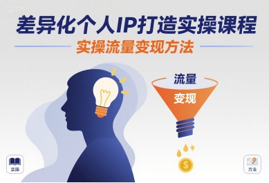 差异化个人IP打造实操课程，实操流量变现方法-皮皮网创