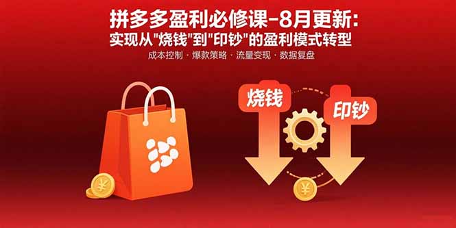 拼多多盈利必修课-8月更新：突破运营瓶颈 实现从烧钱到印钞的盈利模式转型-皮皮网创