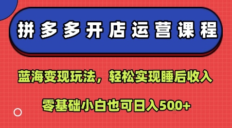 拼多多开店运营课程：蓝海变现玩法，轻松实现睡后收入，零基础小白也可日入5张-皮皮网创