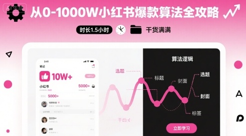 从0-1000W小红书爆款算法全攻略，时长1.5小时，干货满满-皮皮网创