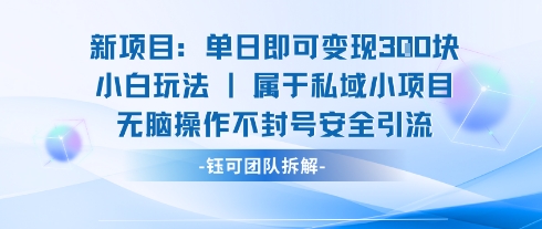 新项目单日即可变现3张的小白玩法无脑操作不封号安全引流-皮皮网创