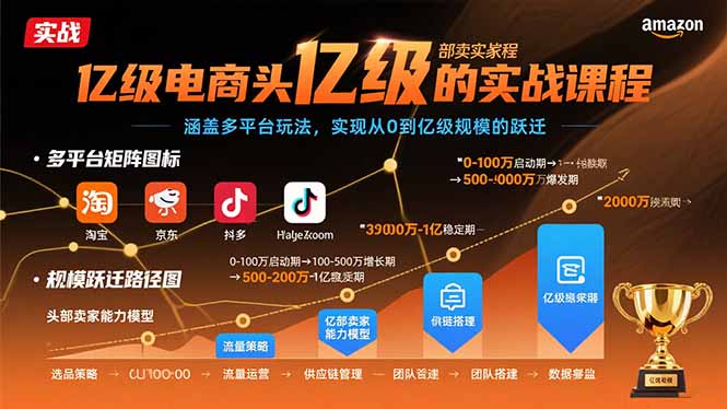 亿级电商头部卖家的实战课程：涵盖多平台玩法，实现从0到亿级规模的跃迁-皮皮网创