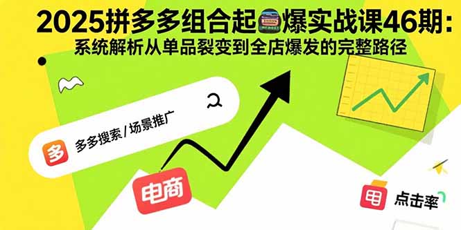 2025拼多多组合起爆实战课46期：系统解析从单品裂变到全店爆发的完整路径-皮皮网创