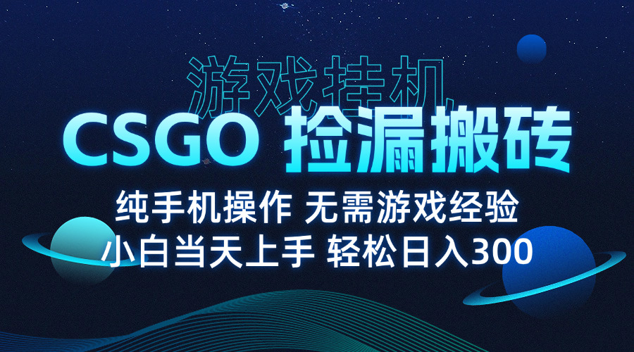 8月最新游戏搬砖，CSGO纯挂机，不需要玩游戏，实现真挂机，月入1W+-皮皮网创
