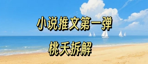 小说推文项目操作全流程第一弹，0粉就能做，门槛低非常适合新手-皮皮网创