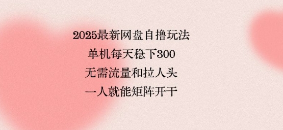 2025最新网盘自撸玩法，单机每天稳下3张，无需流量和拉人头，一个人就可轻松矩阵，全网独一份【揭秘】-皮皮网创