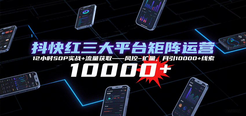 抖快红三大平台矩阵运营，12小时SOP实战+流量获取-风控-扩量，月引10000+线索-皮皮网创
