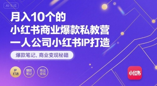 月入10个的小红书商业爆款私教营，一人公司小红书IP打造，爆款笔记，商业变现秘籍-皮皮网创