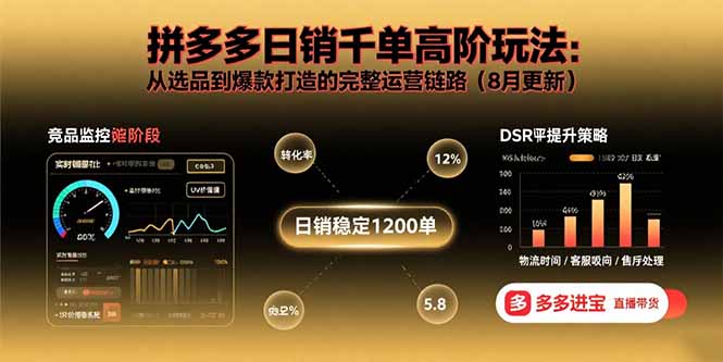 拼多多日销千单高阶玩法：从选品到爆款打造的完整运营链路(8月更新-皮皮网创