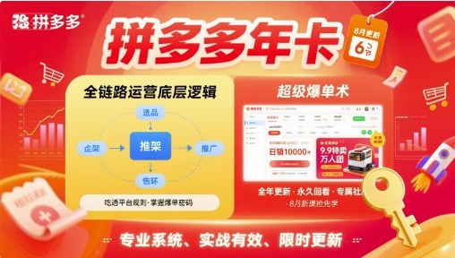 拼多多年卡【8月更新6节】拼多多全链路运营底层逻辑，超级爆单术-皮皮网创