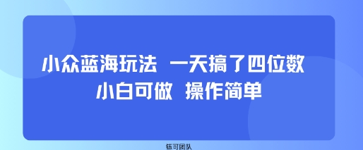 小众蓝海玩法 一天搞了四位数 小白可做 操作简单-皮皮网创