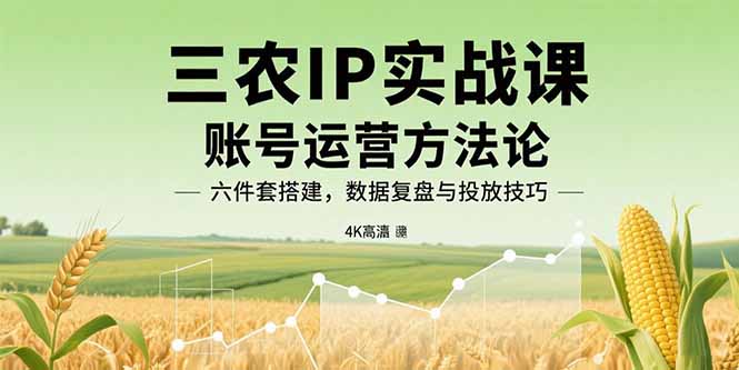 三农IP实战课：账号运营方法论，六件套搭建，数据复盘与投放技巧-皮皮网创