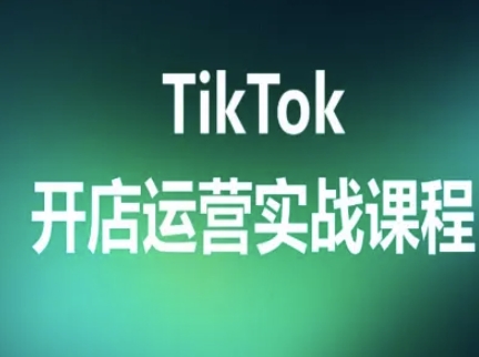 TikTok开店运营实战课程，TK跨境电商实操全流程-皮皮网创