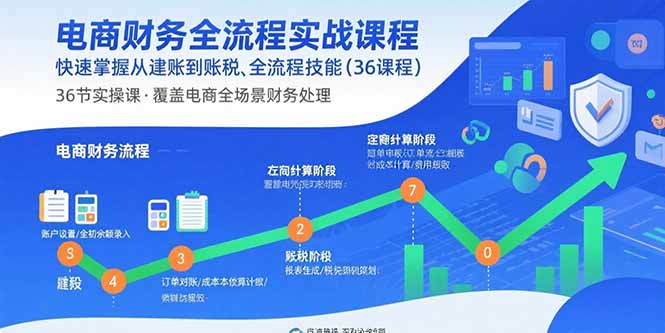 电商财务全流程实战课程：快速掌握从建账到报税的全流程技能(36节课-皮皮网创