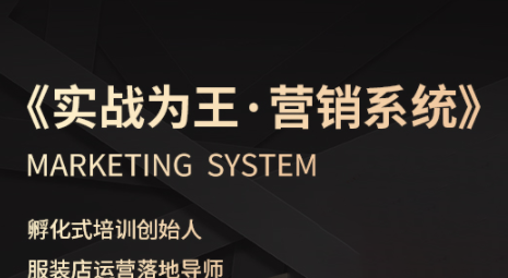 老杨·服装老板必修课《实战为王-营销系统》实现业绩被动式增长-皮皮网创
