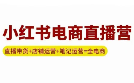 申铭老师·小红书电商直播营(更新)-皮皮网创