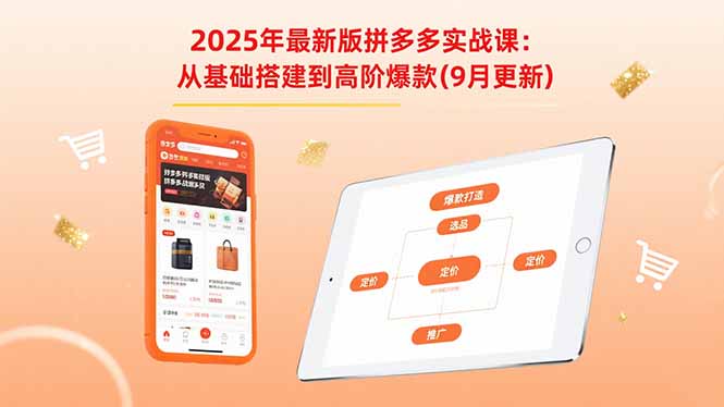 2025年最新版拼多多实战课：从基础搭建到高阶爆款(9月更新-皮皮网创