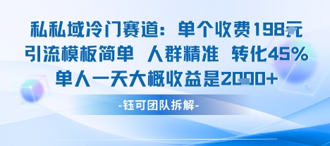 私域冷门赛道单个收费198米引流模板简单人群精准 45%的转化率单人一天大概收益多张-皮皮网创
