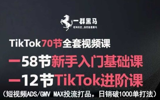 TikTok全套视频课，新手入门+进阶课，短视频ADS-GMV MAX投流打品，日销破1000单打法-皮皮网创