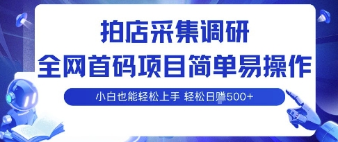 拍店采集调研，全网首码项目，简单易操作， 小白也能轻松上手，多账号操作，轻松日入5张【揭秘】-皮皮网创